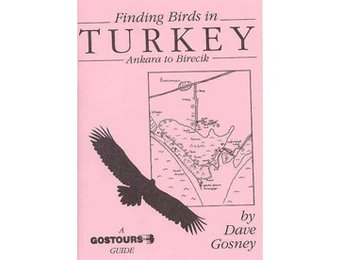 Finding Birds in Turkey - Ankara to Birecik