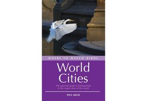 Where to Watch Birds in World Cities