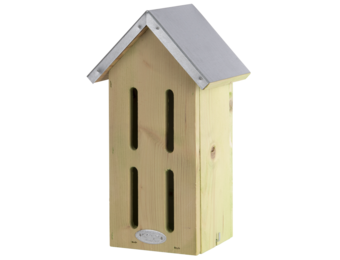 Schmetterlingskasten