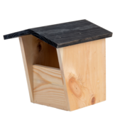 Birdhouse Robin