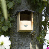 Nestkast Roodborst