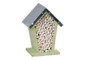 Bee House