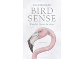 Bird Sense