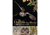 Owls of the World