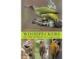 Woodpeckers of the World