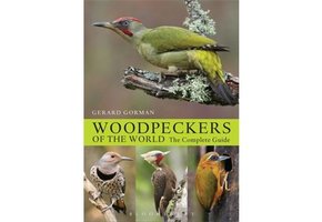 Woodpeckers of the World