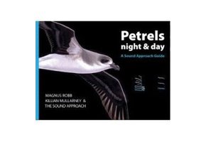 Petrels Night And Day