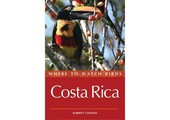 Where to Watch Birds in Costa Rica