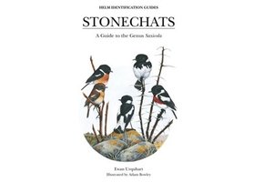 Stonechats