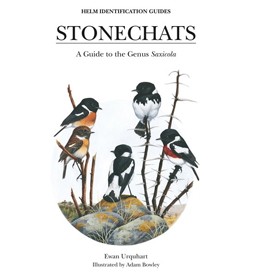 Stonechats