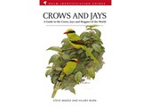 Crows and Jays