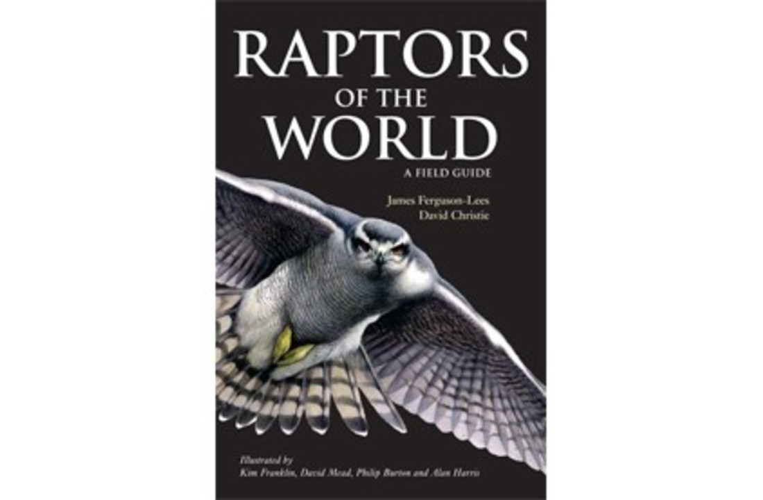 Raptors of the World: A Field Guide
