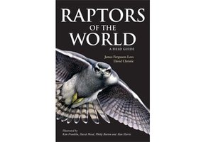 Raptors of the World: A Field Guide