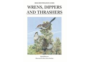Wrens, Dippers and Thrashers