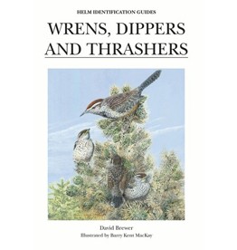 Wrens, Dippers and Thrashers
