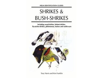 Shrikes and Bush-shrikes