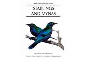 Starlings and Mynas