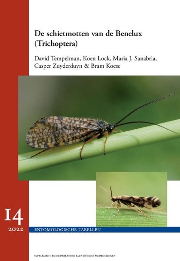 De Schietmotten van de Benelux (Trichoptera)