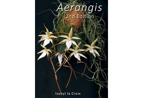Aerangis