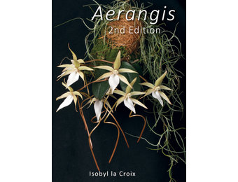 Aerangis