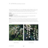 Aerangis - 2nd Edition