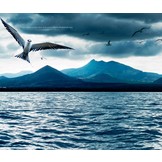 Britain’s Distant Seas