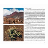 Britain’s Distant Seas