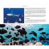 Britain’s Distant Seas