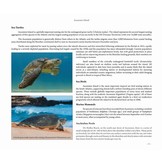 Britain’s Distant Seas