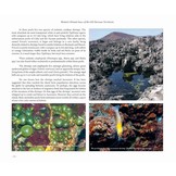 Britain’s Distant Seas