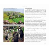 Britain’s Distant Seas