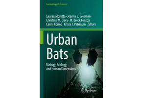 Urban Bats