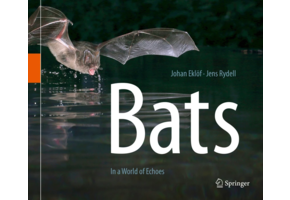 Bats: In a World of Echoes