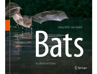 Bats: In a World of Echoes