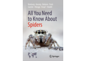 All You Need to Know About Spiders