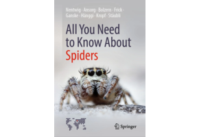 All You Need to Know About Spiders