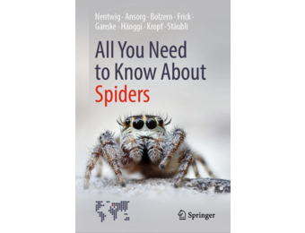 All You Need to Know About Spiders