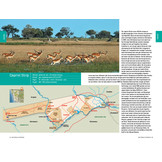 Safarigids Zuidelijk Afrika - Zoogdieren, Reptielen, Vogels en Nationale Parken - Zuid-Afrika, Botswana en Namibië