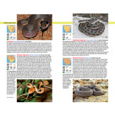 Safarigids Zuidelijk Afrika - Zoogdieren, Reptielen, Vogels en Nationale Parken - Zuid-Afrika, Botswana en Namibië