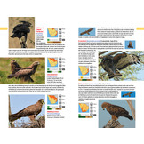 Safarigids Zuidelijk Afrika - Zoogdieren, Reptielen, Vogels en Nationale Parken - Zuid-Afrika, Botswana en Namibië