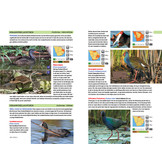 Safarigids Zuidelijk Afrika - Zoogdieren, Reptielen, Vogels en Nationale Parken - Zuid-Afrika, Botswana en Namibië