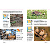 Safarigids Zuidelijk Afrika - Zoogdieren, Reptielen, Vogels en Nationale Parken - Zuid-Afrika, Botswana en Namibië