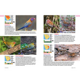 Safarigids Zuidelijk Afrika - Zoogdieren, Reptielen, Vogels en Nationale Parken - Zuid-Afrika, Botswana en Namibië