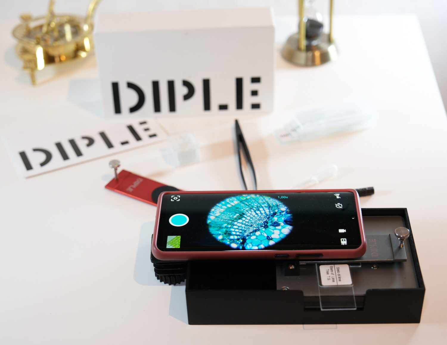 DIPLE RGS (Red & Grey with Standard Stage)