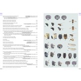 Hoverflies of Britain and North-west Europe - A photographic guide