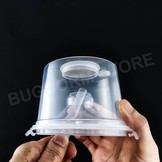 Bugdorm BD7005 Standard Insect Breeder (pack of 6)