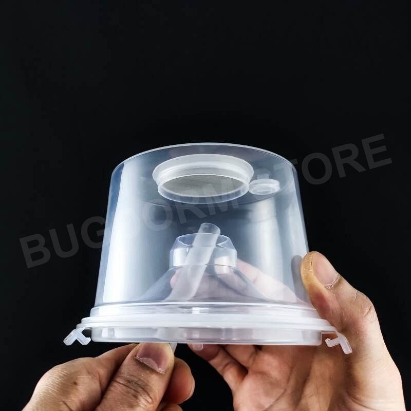BD7005 Standard-Insektenzuchttopf (6er Pack)