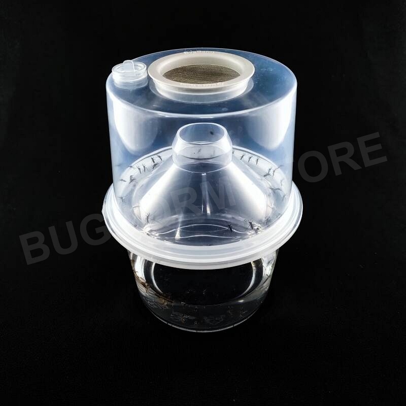 BD7005 Standard-Insektenzuchttopf (6er Pack)