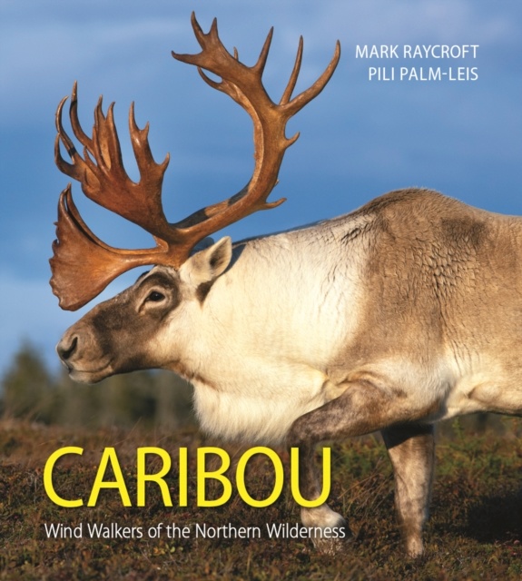Caribou - Wind Walkers of the Northern Wilderness