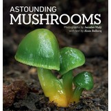 Astounding Mushrooms